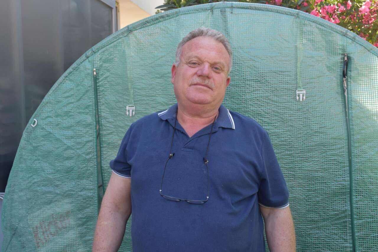Erkek kedi doğum yaptı! 6 milyonda bir görülüyor 4